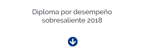 08-diplomas-desempeno-2018