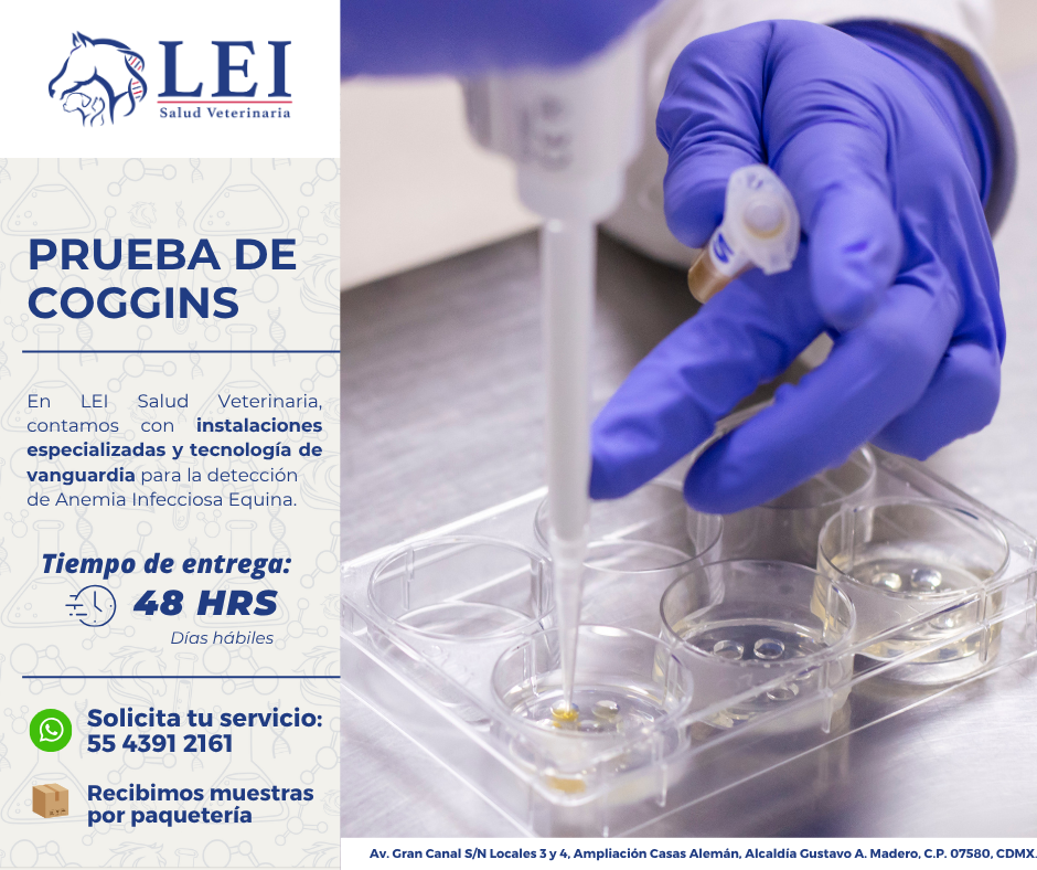 Segundo banner prueba de coggins