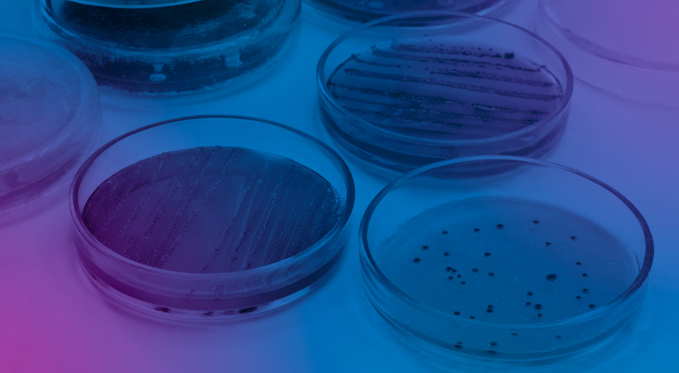 Microbiología farmacéutica Laboratorios de